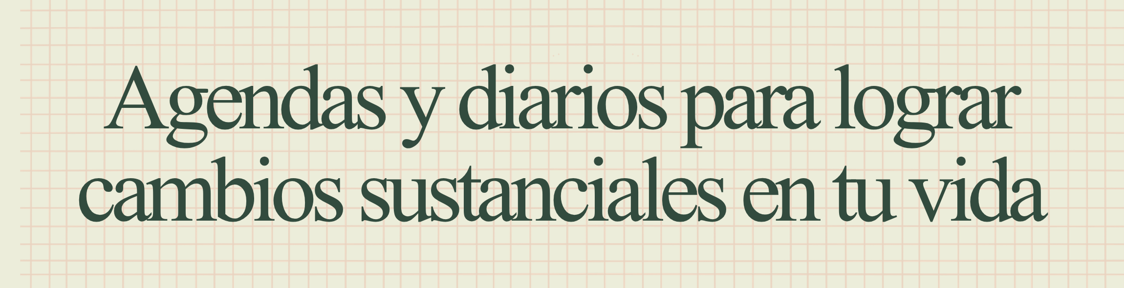Agendas y diarios para lograr cambios sustanciales en tu vida Agendas y diarios para lograr cambios sustanciales en tu vida