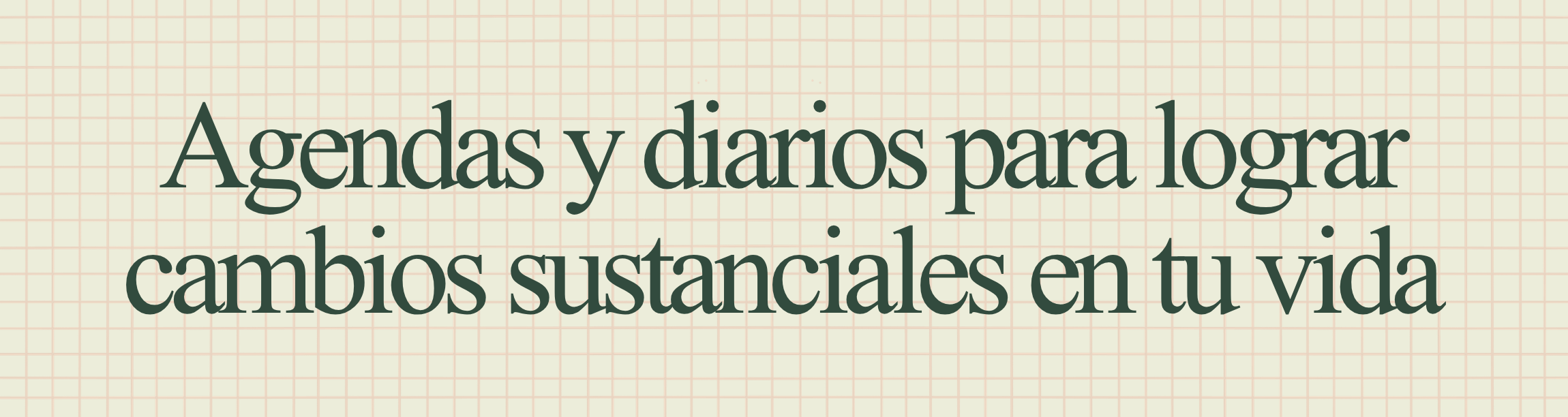 Agendas y diarios para lograr tus objetivos